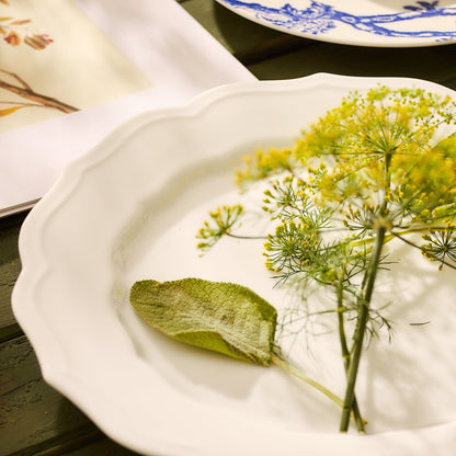  Stella Scalloped White Dinner Plate