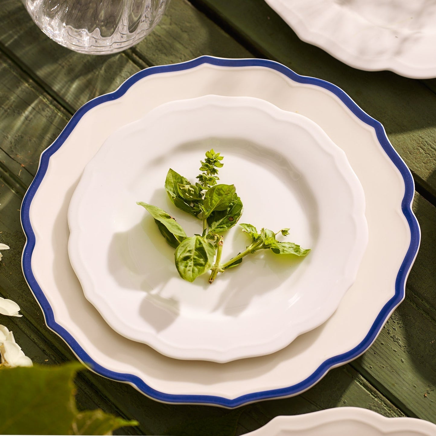  Stella Scalloped White Salad Plate