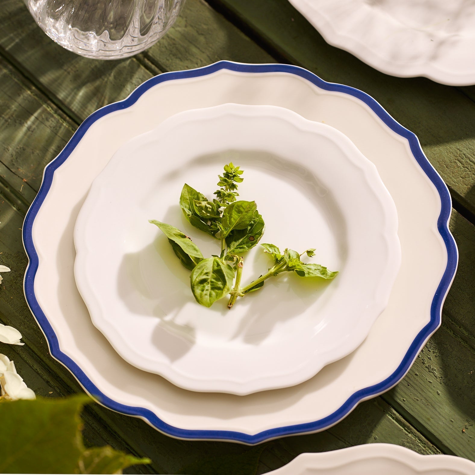 Stella Scalloped White Salad Plate