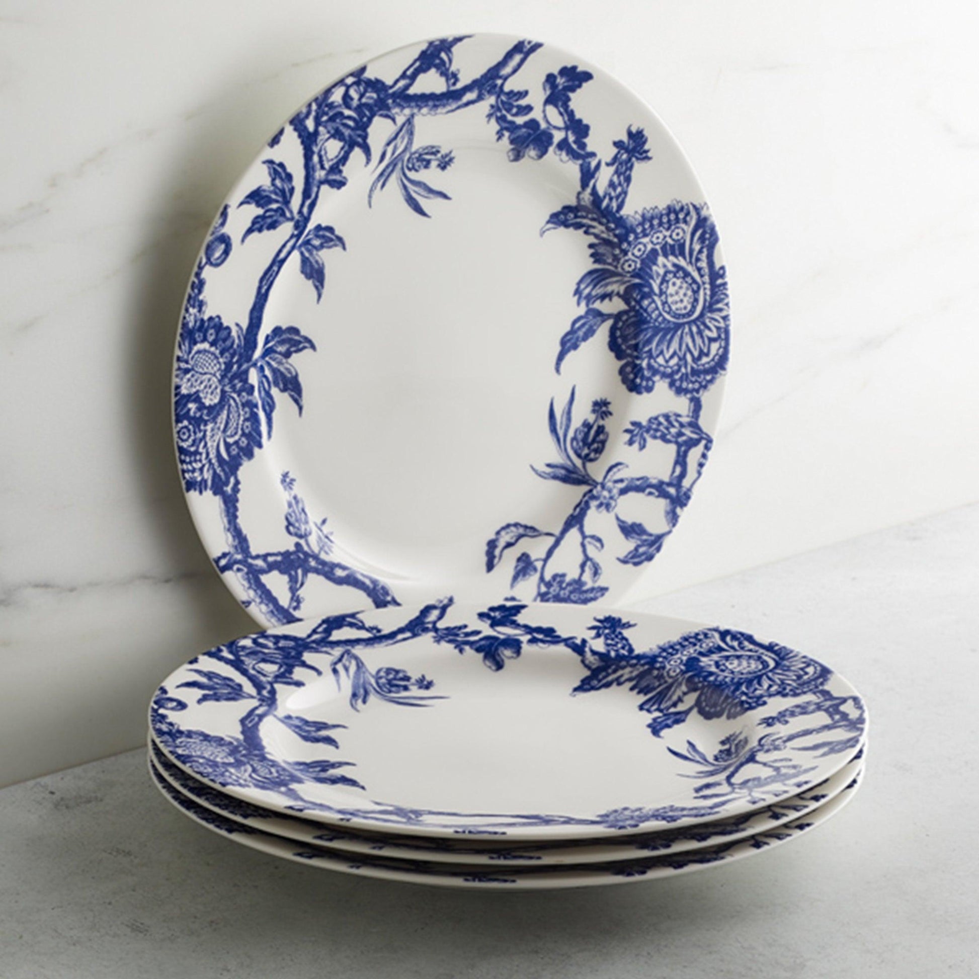 Arcadia Rimmed Dinner Plate