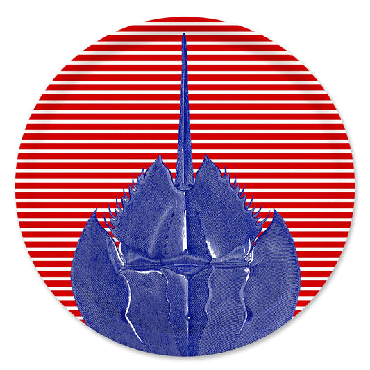  Horseshoe Crab Large Round Birchwood Tray