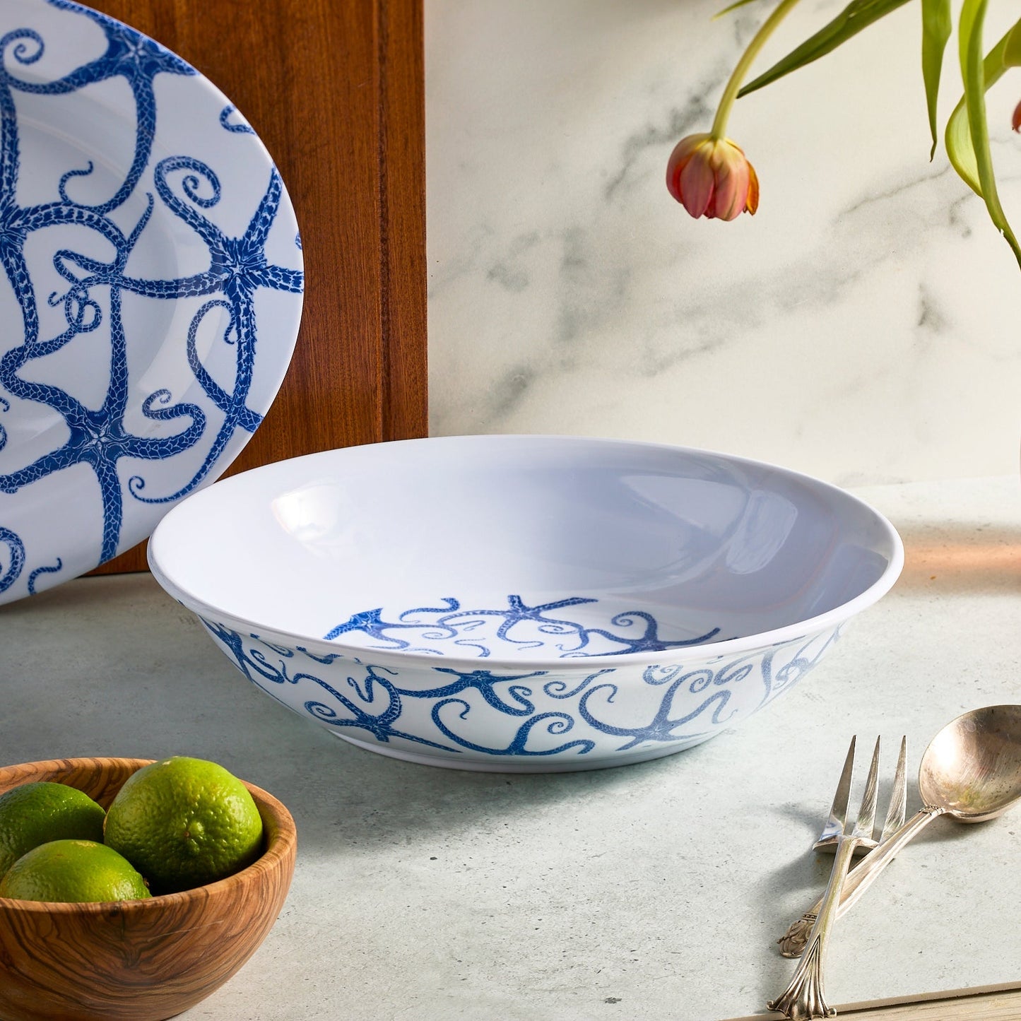  Starfish Entertaining Melamine Bundle