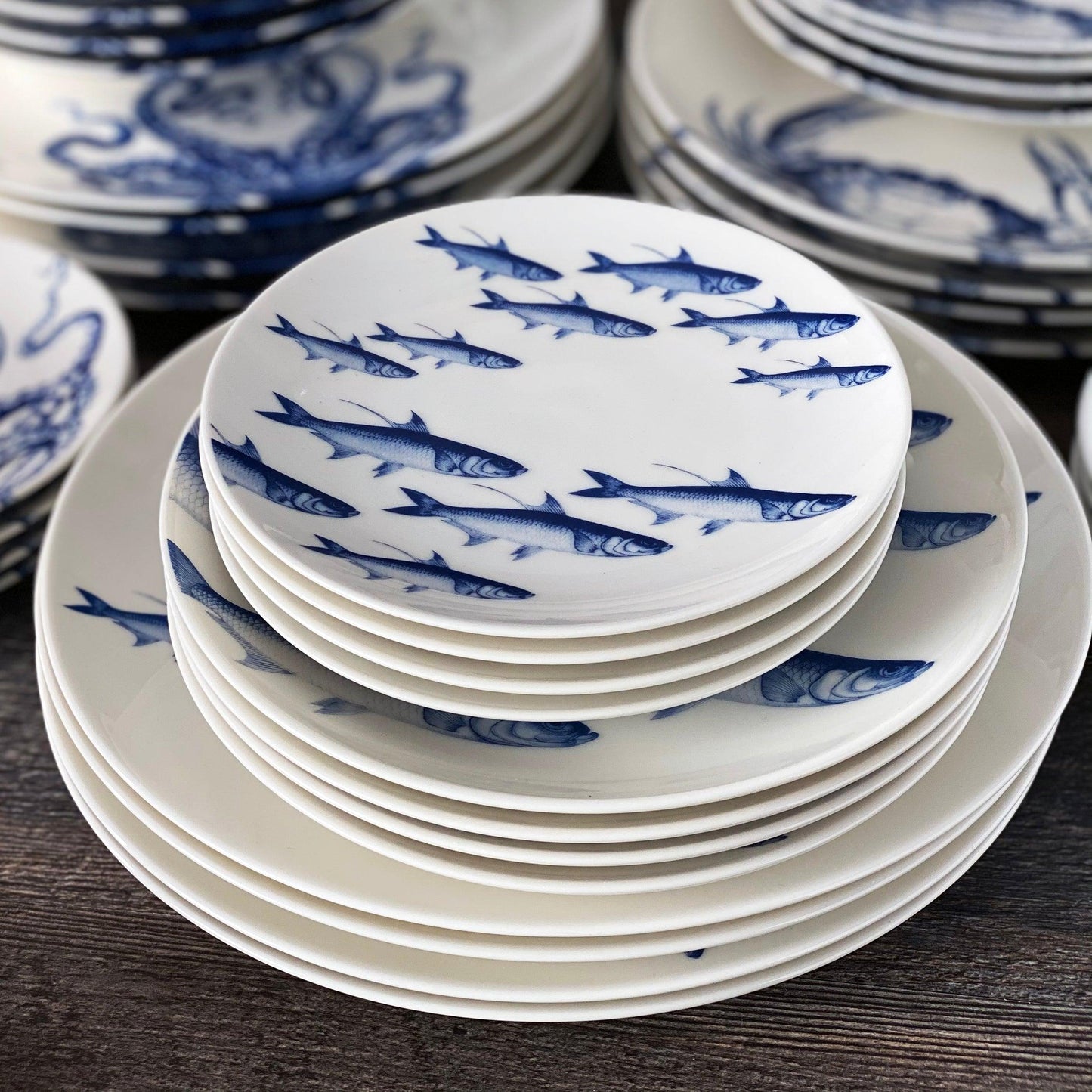  Coastal Collection 48 Pc. Set