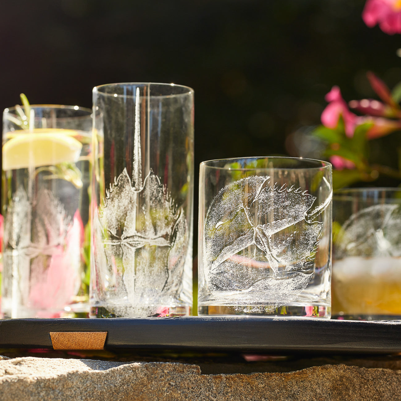  Horseshoe Crab Highball Glasses