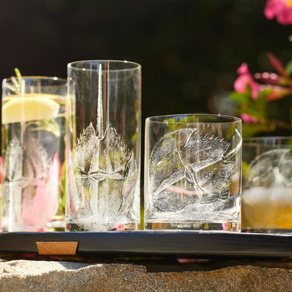  Horseshoe Crab Highball Glasses