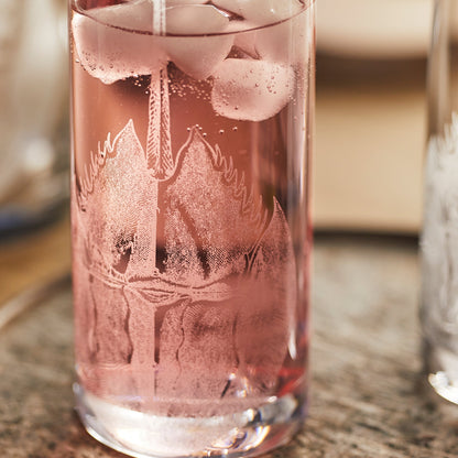  Horseshoe Crab Highball Glasses
