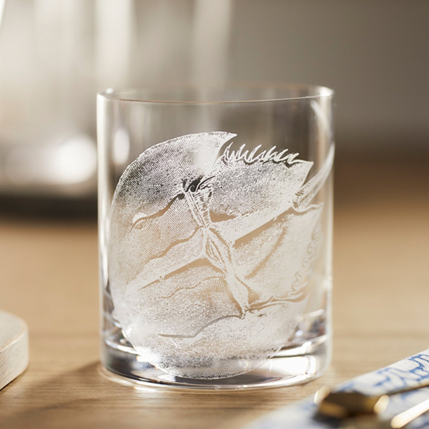  Horseshoe Crab Rocks Glasses