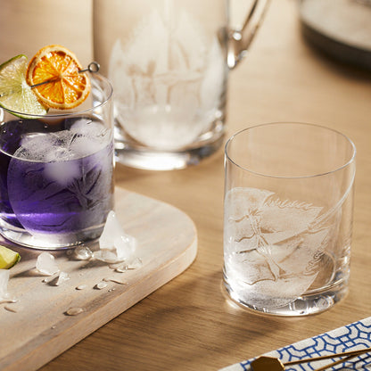  Horseshoe Crab Rocks Glasses