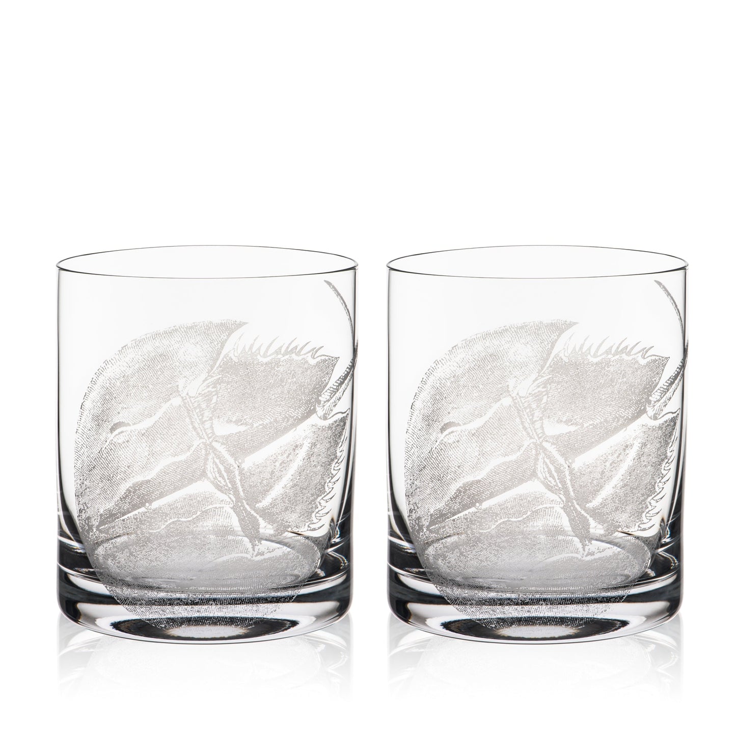  Horseshoe Crab Rocks Glasses