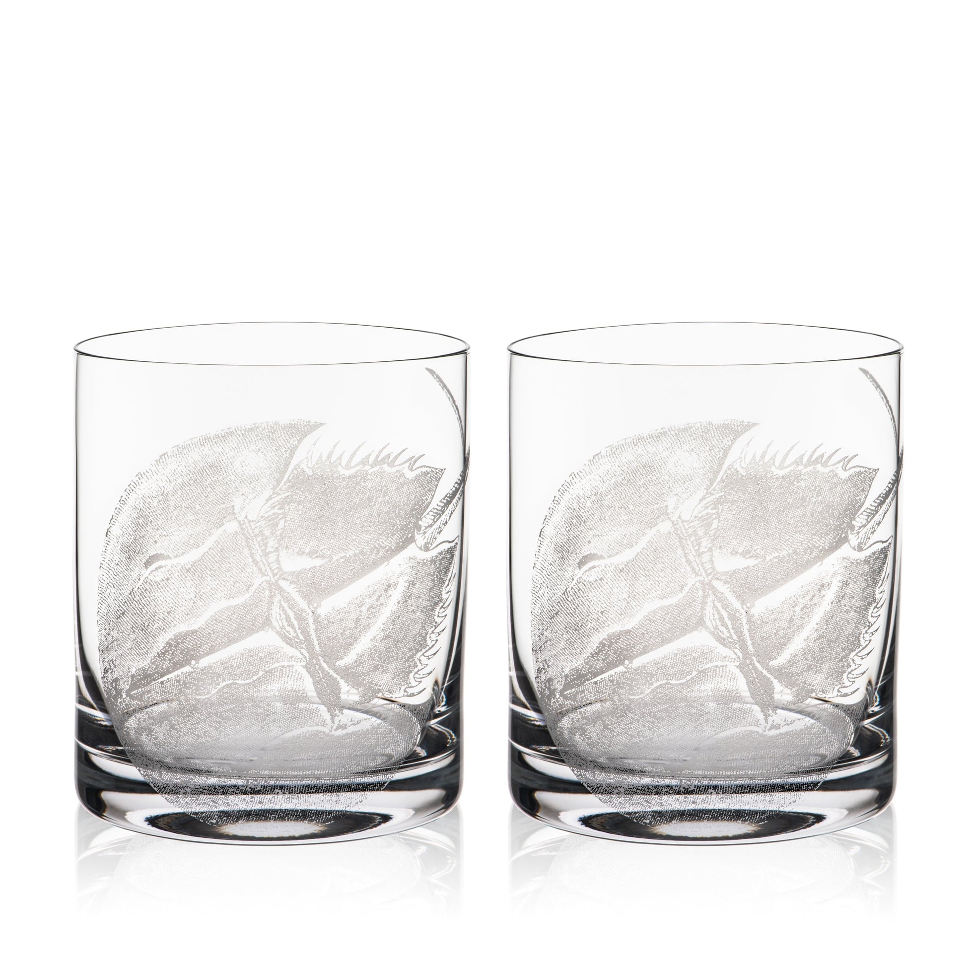  Horseshoe Crab Rocks Glasses