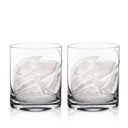  Horseshoe Crab Rocks Glasses