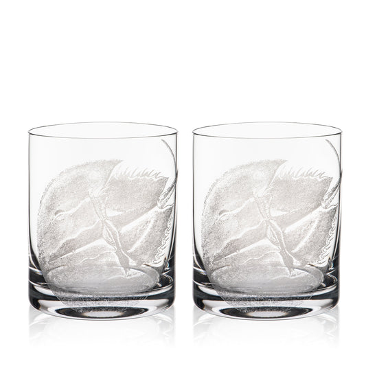  Horseshoe Crab Rocks Glasses