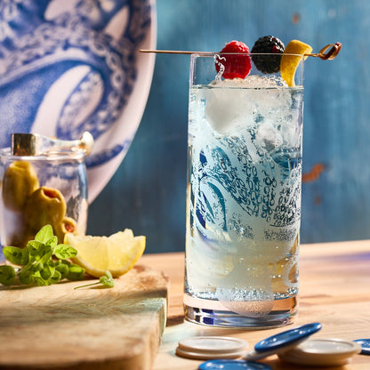  Lucy Highball Glasses