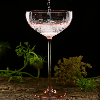  Quinn Rose Coupe Glasses
