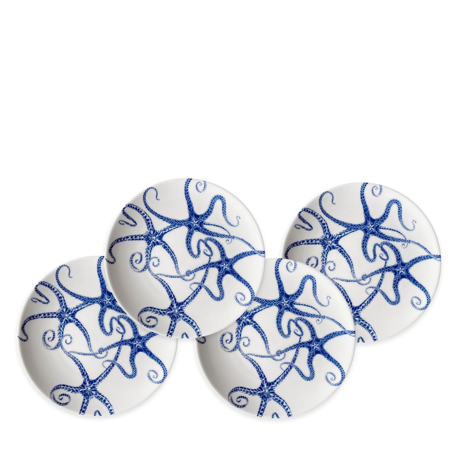  Starfish Small Plates