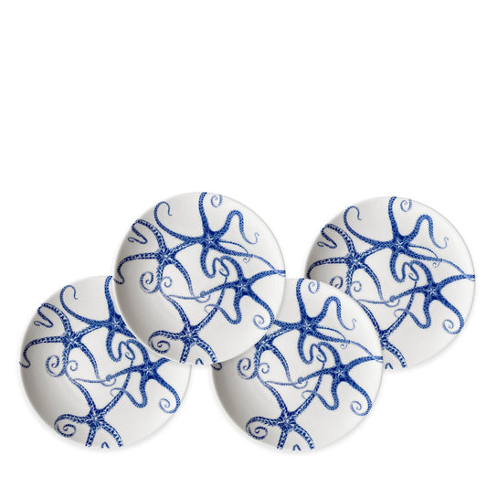  Starfish Small Plates