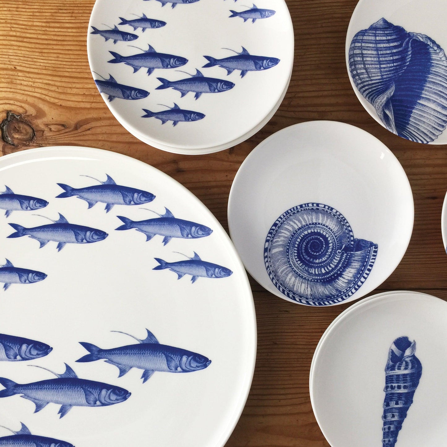  School Of Fish Small Plates