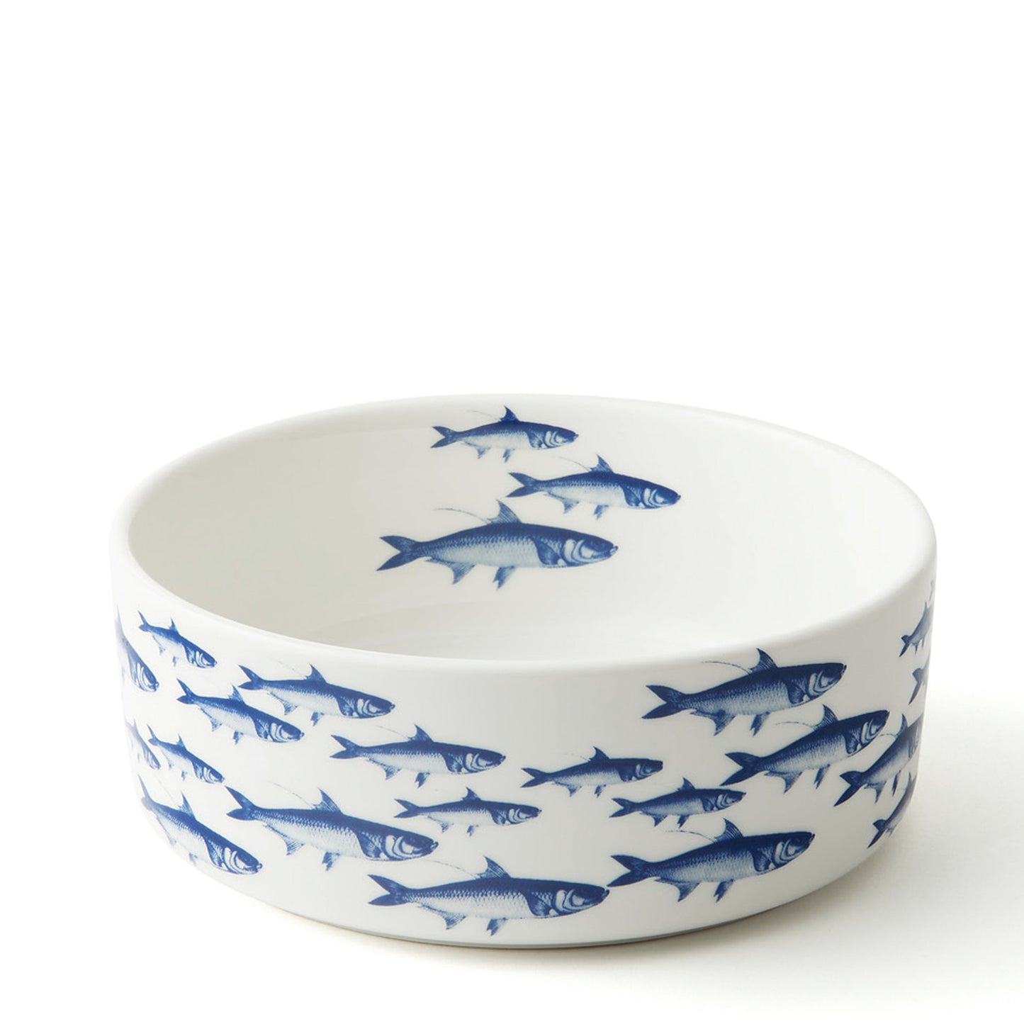  School Of Fish Medium Pet Bowl