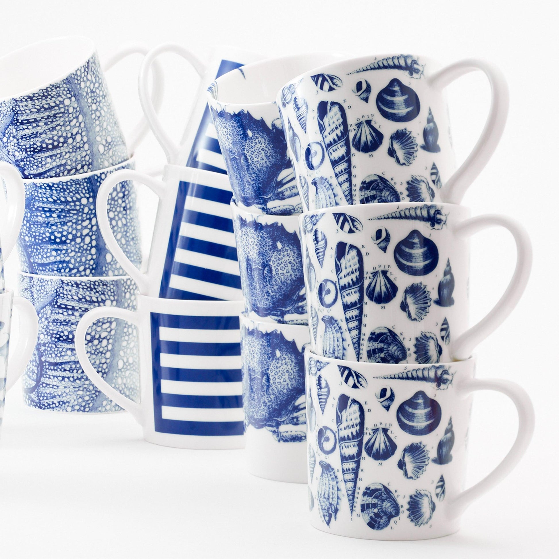  Shells Mug