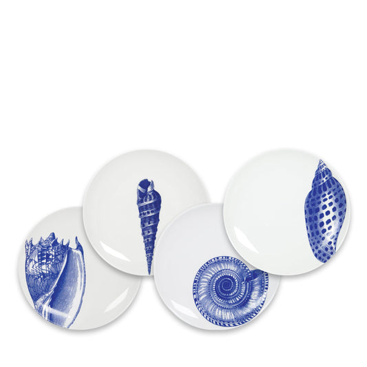  Shells Small Plates